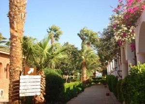 Al Mashrabiya ogród